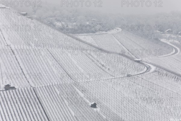 Snowy vineyards in the Stuttgart region in winter. Winter view of the vineyards in Fellbach, Kappelberg, Germany
