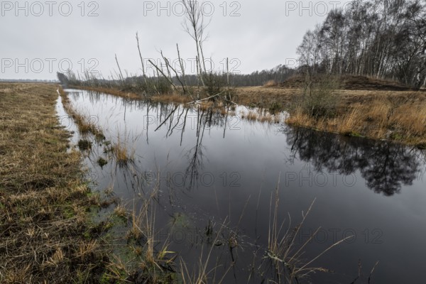 Autumn moor landscape, Emsland, Lower Saxony, Germany