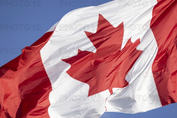 Red and white Canadian flag with a maple leaf waving in the air in downtown Toronto near Ontario Lake. Canadian patriotism and culture