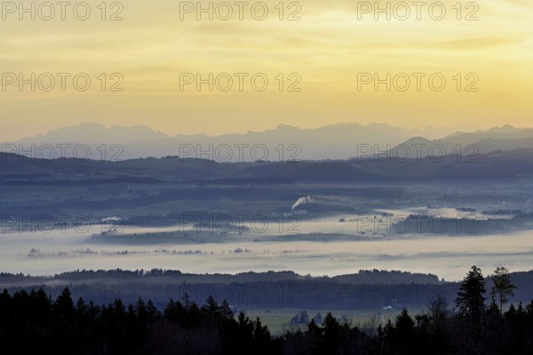 View from Horben of the Reuss Valley covered in fog, behind it the Alpstein with the Säntis in the light of the rising sun, Beinwil-Freiamt, Canton, Aargau, Switzerland