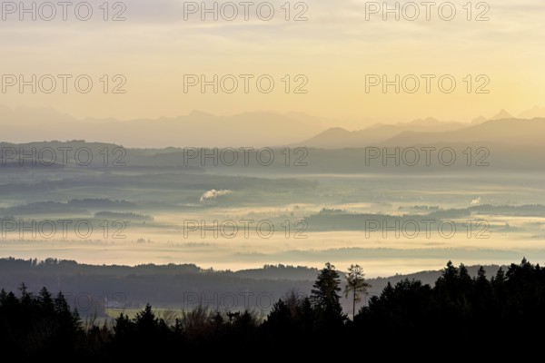 View from Horben of the Reuss Valley covered in fog, behind it the Glarus Alps in the light of the rising sun, Beinwil-Freiamt, Canton, Aargau, Switzerland