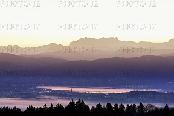 View from Horben of Lake Zug with the town of Cham and Zug, behind it the snow-capped mountains Flübrig and Vrenelisgärtli in the light of dawn, Beinwil-Freiamt, Canton, Aargau, Switzerland