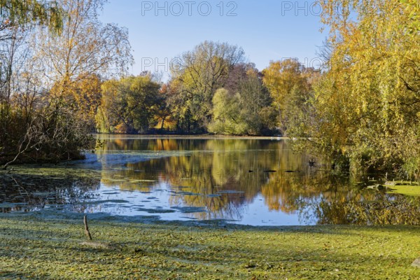 Autumn colors on Sandbrack, a lake in the Kirchwerder district of Hamburg. Fünfhausen, Kirchwerder, Hamburg, Germany