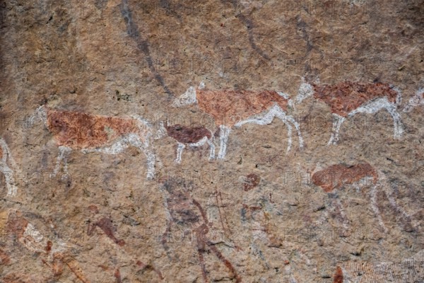 White Lady Rock Painting, White Lady Painting, Depiction of Hunters and Animals, Rock Paintings in Maack's Shelter, Tsisab Gorge, Brandberg, Erongo, Namibia