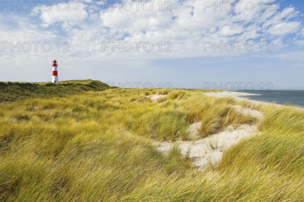 List-Ost lighthouse with sand dunes and an elbow beach on the island of Sylt, Germany