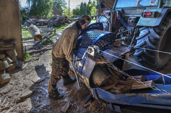 Young man sawing and splitting beech logs with his saw cutting machine, powered by a tractor in a barn, Othenstorf, Meckleburg-Vorpommern, Germany