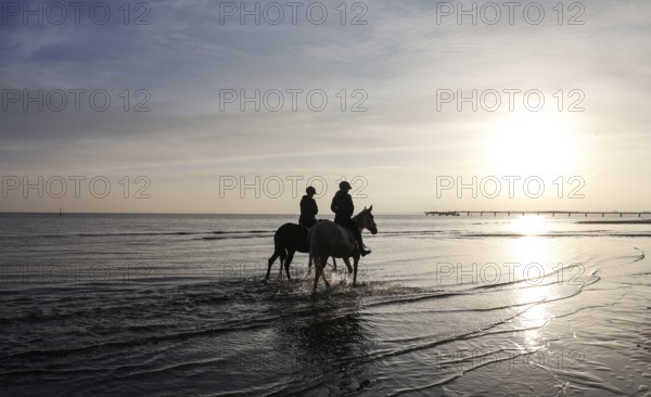 Two female riders ride their horses through the shallow water of the Baltic Sea at sunrise, Scharbeutz, 29.11.2025, Scharbeutz, Schleswig-Holstein, Germany