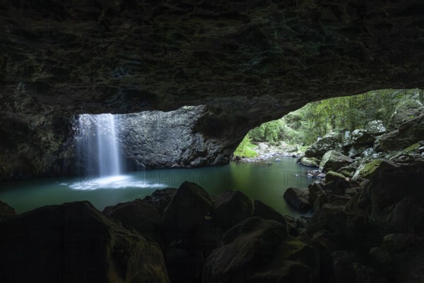 Natural Bridge Springbrook National Park Waterfall in the Basalt Cave, Queensland Gondwana Rainforest World Heritage Site, Australia