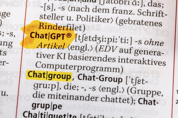 Chat Group, Chapter Group, Chat, Chat Line, Chat Room Caht GPT, Chatiquette. Terms from the Duden. Standard work of German spelling, 29th edition. germany