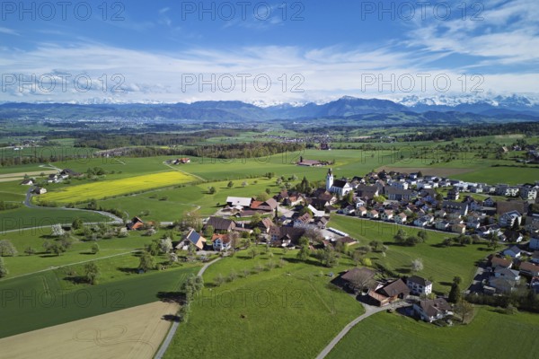View of town with field of blooming rapeseed, Rigi and the snowy Alps in the back, Beinwil, Freiamt, Canton, Aargau, Switzerland