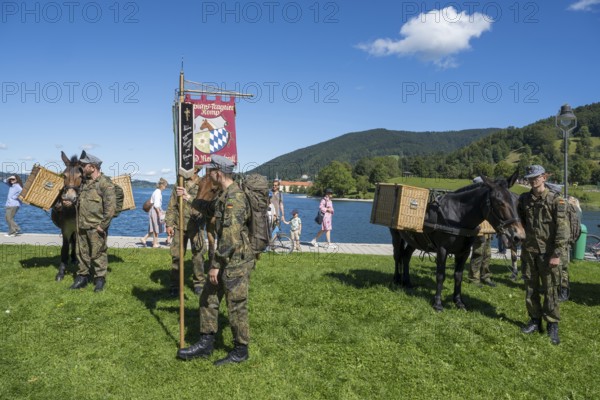Bundeswehr soldiers with horses, mountain carrier company, soldiers in camouflage uniform, set up for the parade at Tegernsee, Rosstag, Rottach-Egern, Upper Bavaria, Bavaria, Germany