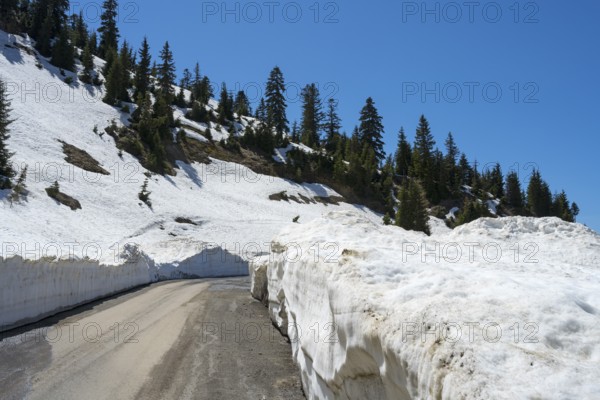A mountain road lined with high snow walls offers an impressive winter landscape, near Goderdzi on the way to the Goderdzi Pass, Ajara region, Adjara, autonomous republic, Georgia