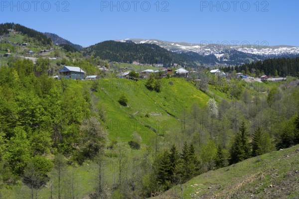 View of a green hilly landscape with scattered houses and a clear blue sky, village in the Lesser Caucasus on the way to the Goderdzi Pass, Ajara region, Adjara, autonomous republic, Georgia
