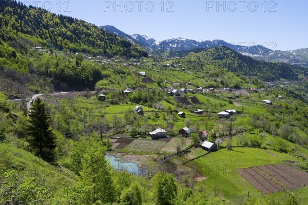 Green hilly landscape with scattered farms and small villages under blue skies, village in the Lesser Caucasus on the way to the Goderdzi Pass, Ajara region, Adjara, autonomous republic, Georgia