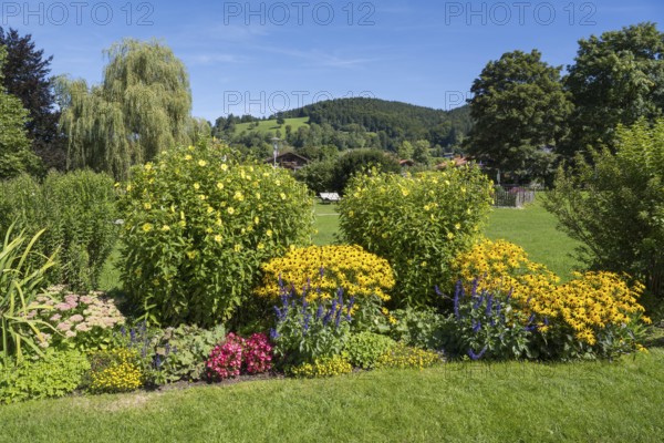 Blooming flowers in the spa garden, town of Schliersee, Upper Bavaria, Bavaria, Germany
