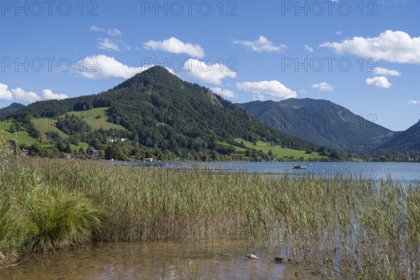 Landscape at Schliersee, Mangfall Mountains, Upper Bavaria, Bavaria, Germany