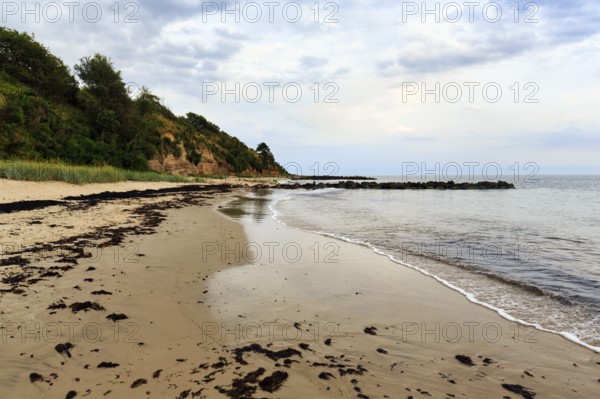Typical coastline, Galløkken sandy beach, cliffs, Rønne, Rönne, Bornholm, Baltic Sea, Denmark