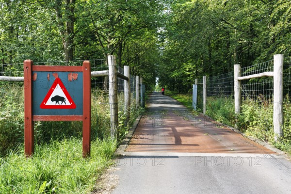 Cycle path through wooded area, fence and cattle grid, distinctive warning sign with bison symbol, Wisent, Bornholm, Denmark