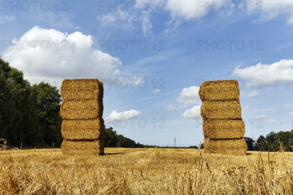 Rectangular straw bales, two stacks in a harvested field, stubble field, Cumulus, Bornholm, Denmark