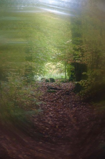 Symbolic picture for tunnel vision and depression, Germany