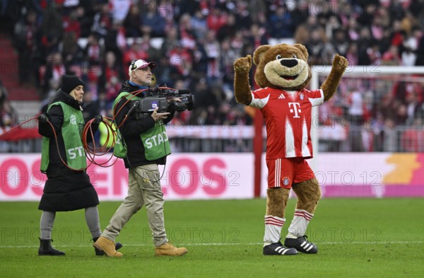 Mascot Berni FC Bayern Munich FCB (12) with TV team, TV camera, Allianz Arena, Munich, Bavaria, Germany