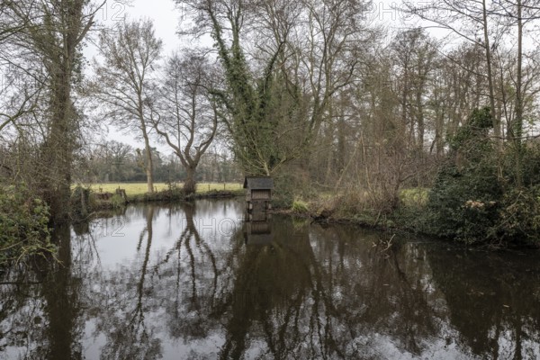River landscape, Wümme, Lower Saxony, Germany