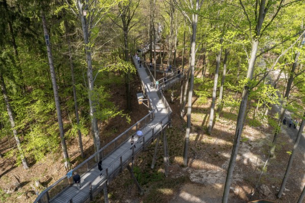 Steigerwald Baupfad Ebrach Germany