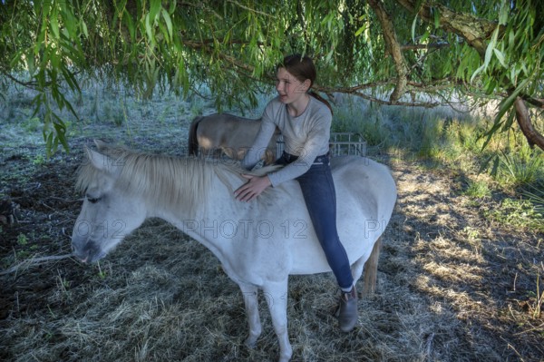 Young girl sitting on her white mare under a willow (Salix), Othenstorf, Mecklenburg-Western Pomerania, Germany
