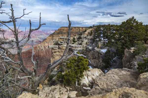 The Grand Canyon in northern Arizona