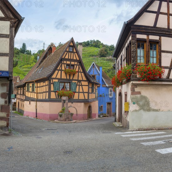 Half-timbered houses passing through Niedermorschwihr, Ellsass