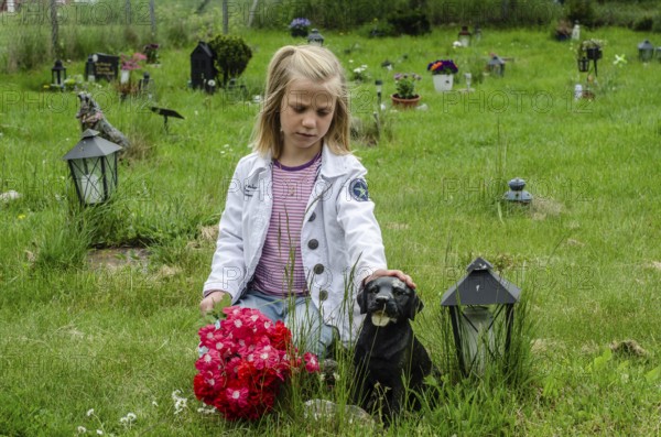 Grieving blonde 7-year-old girl at her dog's grave at pet cemetery in Ystad, Skåne County, Sweden, Scandinavia