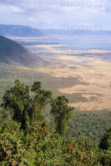 View of Ngorongoro Crater, Crater Viewpoint, Forest and Savanna Landscape, Ngorongoro Conservation Area, Tanzania