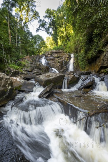 Derema Waterfall flows through thick vegetation, tropical rainforest in Amani Nature Forest Reserve, long exposure, Eastern Usambara Mountains, Tanga, Tanzania