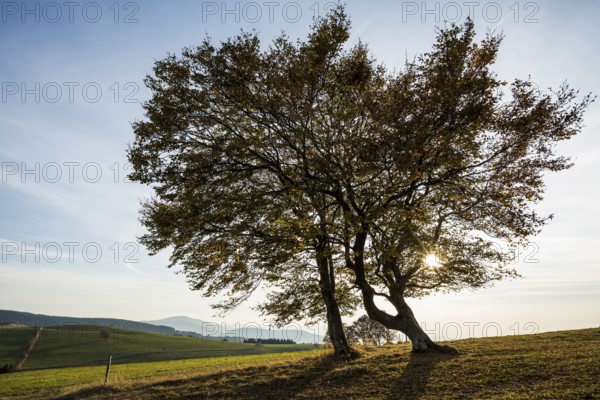 Weather forecast in autumn, sunset, Schauinsland, Freiburg im Breisgau, Black Forest, Baden-Württemberg, Germany