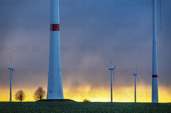 Königshovener Höhe onshore wind farm, on the A44 motorway near Bedburg, in front of the Jackerath triangle, autumn, sunset, recultivated open-cast mining site, Garzweiler open-cast lignite mine, operated by RWE and the city of Bedburg, North Rhine-Westphalia, Germany