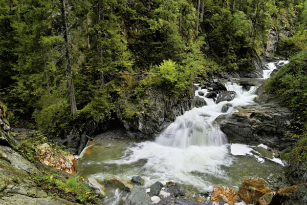 Diosaz mountain river in the gorge, Gorges de la Diosaz, Les Houches, Chamonix-Mont-Blanc, Haute-Savoie, France