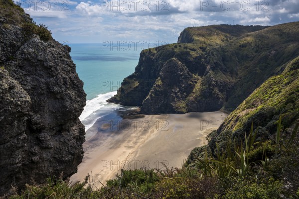 Landscape in New Zealand with sea and sandy beach. View of Mercer Bay. Mercer Bay Loop Walk hiking trail. Mercer Bay, Waitakere Ranges, West Auckland, New Zealand