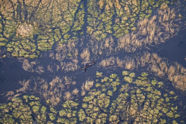 Marshland, marshland, Kavango fishermen with dugout boat, Mokoro, aerial view, Okavango Delta, Botswana