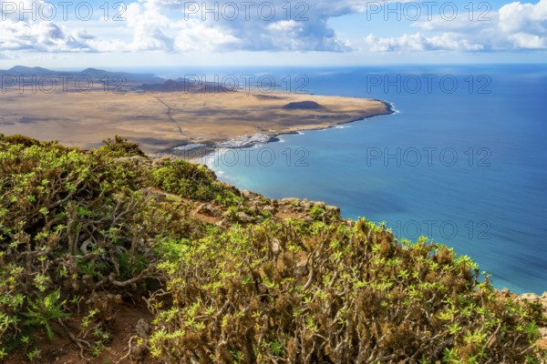 View from the Castillejo viewpoint from the Risco de Famara cliffs to the coast and the sea with the Famara beach, Playa de Famara, Lanzarote, Canary Islands, Spain