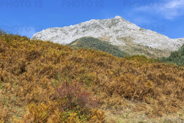 Mountain landscape Guarrinza - La Mina, Aragon Subordan river valley, Parque Natural Valles Occidentales, Hecho, Pyrenees Mountains, Aragon, Spain