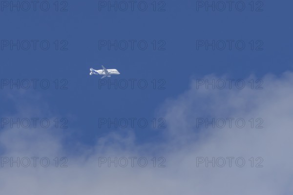 Airbus A330-743L Beluga XL cargo jet aircraft flying in a blue sky with white clouds, England, United Kingdom