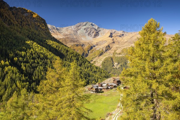 Traditional wooden huts on Alpe near Evolene, Val d'Herens, Canton of Valais, Switzerland