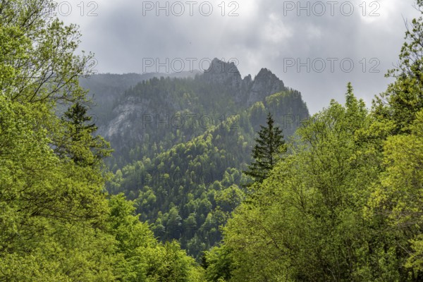 View into the mountains next to Lake Offensee on a rainy day in spring, Salzkammergut, Austria, Europe, Salzkammergut, Austria, Europe