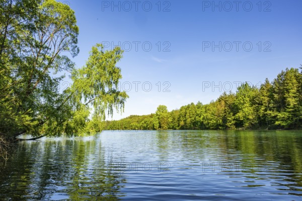Landscape of a little lake on a sunny day in spring, Upper Palatinate, Bavaria, Germany
