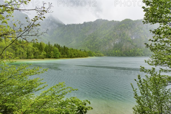 Landscape of Lake Offensee on a rainy day in spring, Salzkammergut, Austria