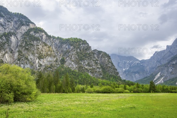 Spring meadow with the Alps in the background on a rainy day, Traunkirchen, Salzkammergut, Austria
