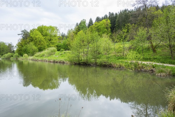 Landscape of a little lake on a cloudy day in spring, Upper Palatinate, Bavaria, Germany