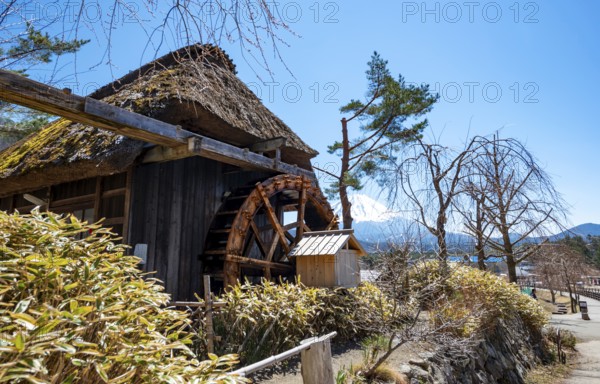 Iyashinosato open-air museum, old Japanese village with traditional houses, at the back volcano Mt. Fuji, Fujikawaguchiko, Saiko, Japón