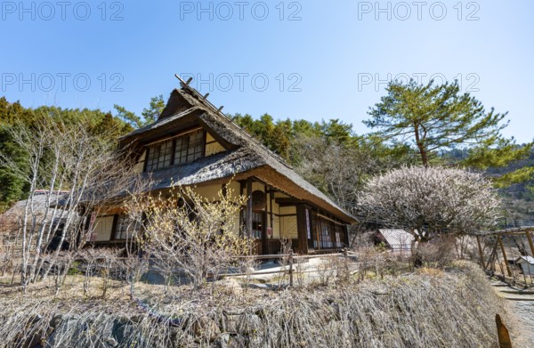 Iyashinosato open-air museum, old Japanese village with traditional houses, Fujikawaguchiko, Saiko, Japan