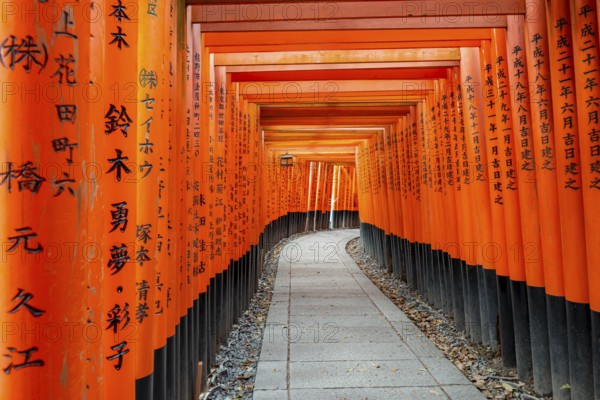 Walk through hundreds of red traditional torii gates, Fushimi Inari Taisha, Shinto Shrine, Fushimi Inari-taisha Okusha Hohaisho, Kyoto, Japan